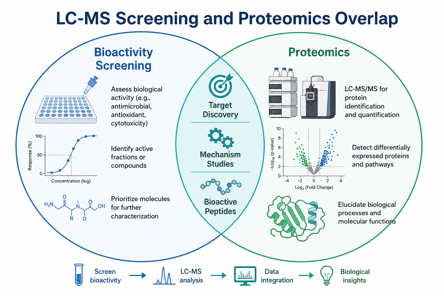 Overlap between LC-MS bioactivity screening and proteomics showing drug target discovery mechanism studies and bioactive peptide identification workflows Overlap between LC-MS bioactivity screening and proteomics showing drug target discovery mechanism studies and bioactive peptide identification workflows