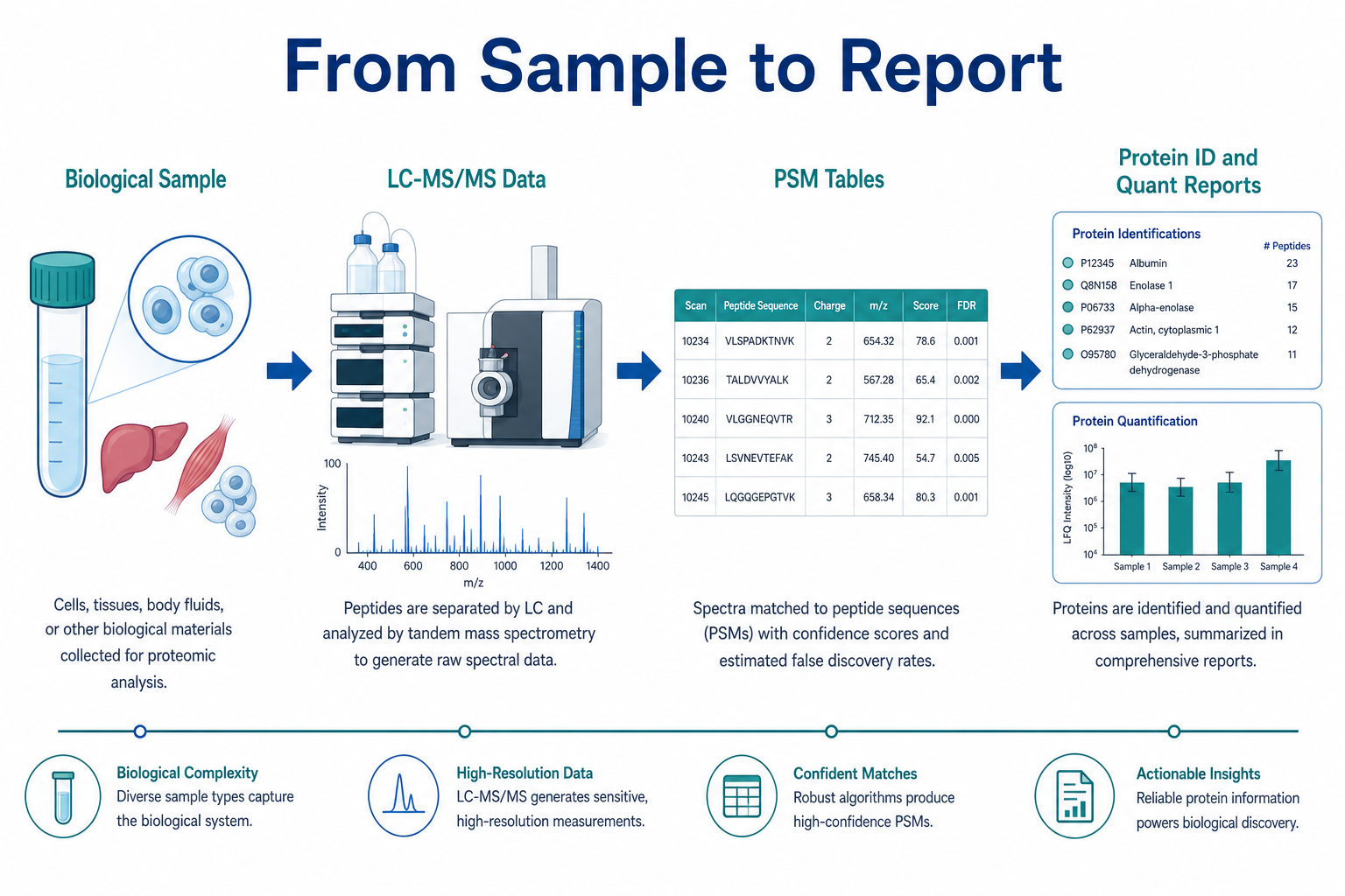 Mass spec based proteomics from sample to report showing LC-MS/MS data peptide-spectrum matches protein inference and quantitation outputs Mass spec based proteomics from sample to report showing LC-MS/MS data peptide-spectrum matches protein inference and quantitation outputs