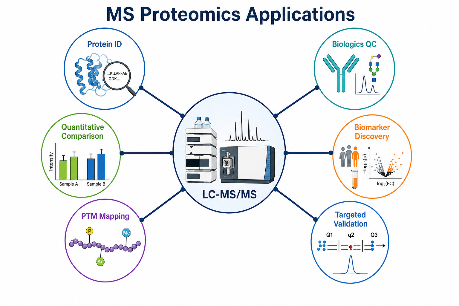 Applications of mass spectrometry proteomics in protein identification, quantitative comparison, PTM mapping, biologics QC, and targeted validation Applications of mass spectrometry proteomics in protein identification, quantitative comparison, PTM mapping, biologics QC, and targeted validation