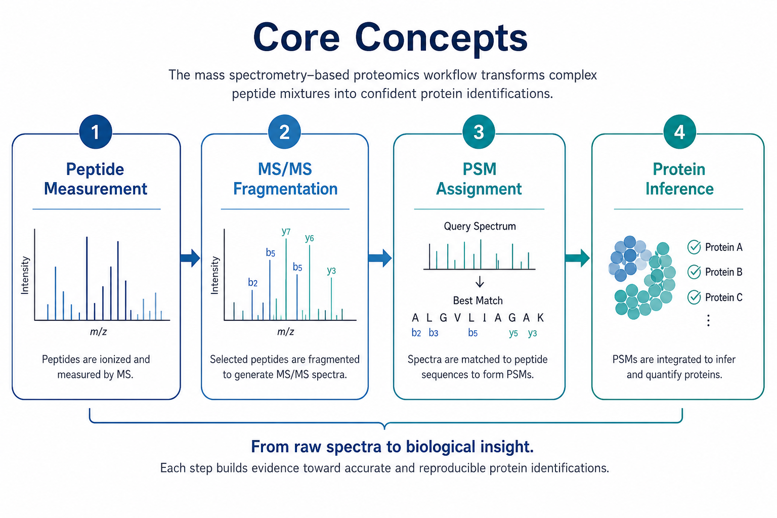 Core concepts linking proteomics and mass spectrometry including peptide measurement MS/MS fragmentation PSM assignment and protein inference Core concepts linking proteomics and mass spectrometry including peptide measurement MS/MS fragmentation PSM assignment and protein inference