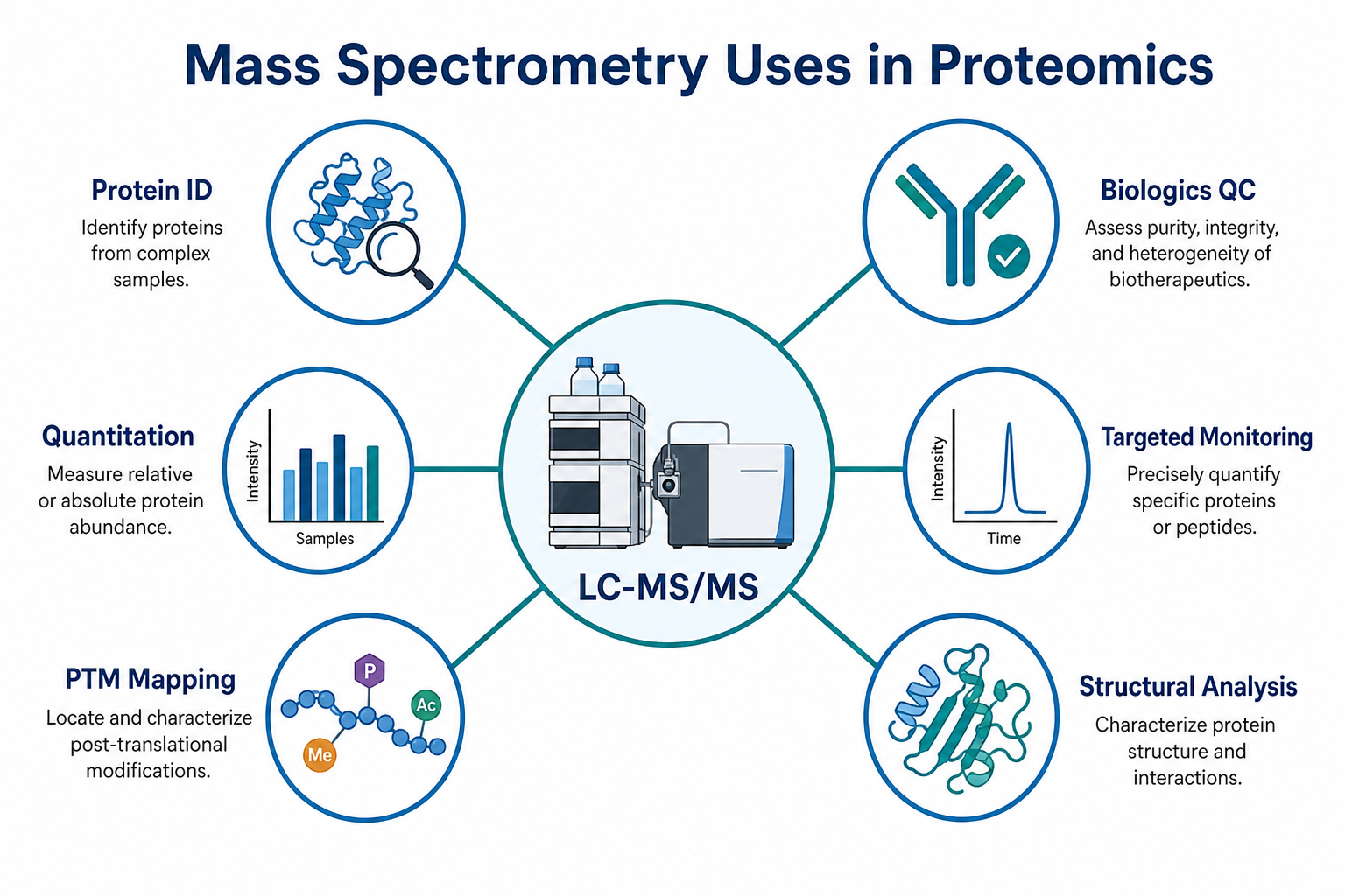 Overview of mass spectrometry uses in proteomics including protein identification, quantitation, PTM mapping, biologics QC, targeted monitoring, and structural analysis Overview of mass spectrometry uses in proteomics including protein identification, quantitation, PTM mapping, biologics QC, targeted monitoring, and structural analysis