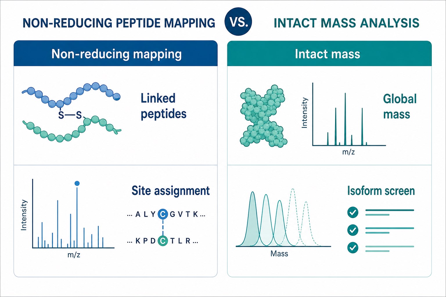 Comparison of non-reducing peptide mapping and intact mass analysis for disulfide bond mapping across detail level workflow and deliverable type