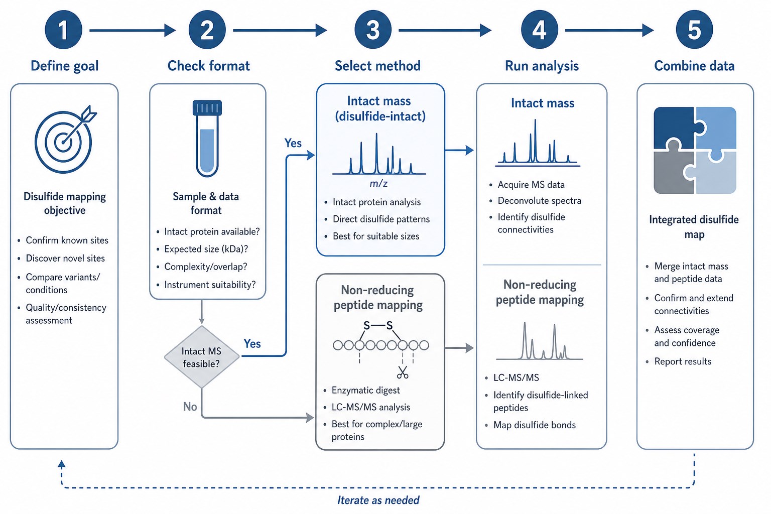 Decision workflow for choosing non-reducing peptide mapping or intact mass analysis for disulfide bond mapping
