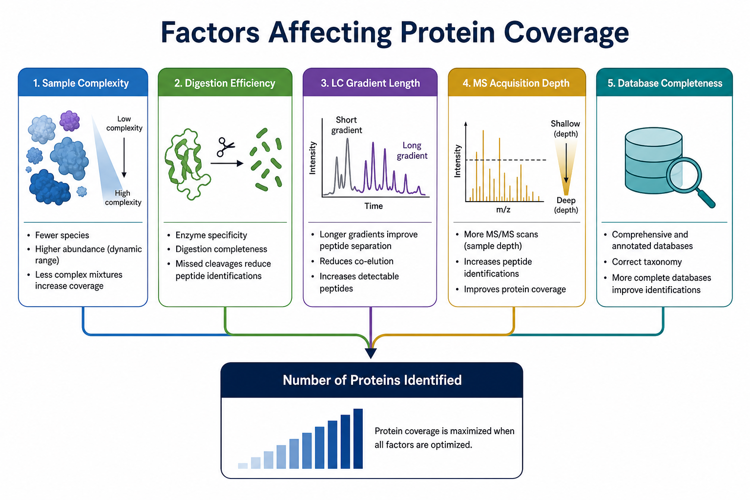 Factors affecting protein coverage variation in mass spectrometry proteomics including sample complexity, digestion, LC gradient, acquisition mode, and database search Factors affecting protein coverage variation in mass spectrometry proteomics including sample complexity, digestion, LC gradient, acquisition mode, and database search