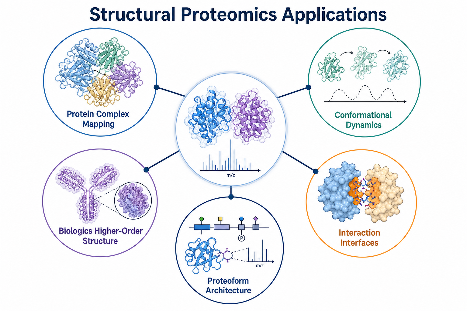 Applications of structural proteomics by mass spectrometry in complex mapping conformational analysis biologics HOS and proteoform architecture Applications of structural proteomics by mass spectrometry in complex mapping conformational analysis biologics HOS and proteoform architecture