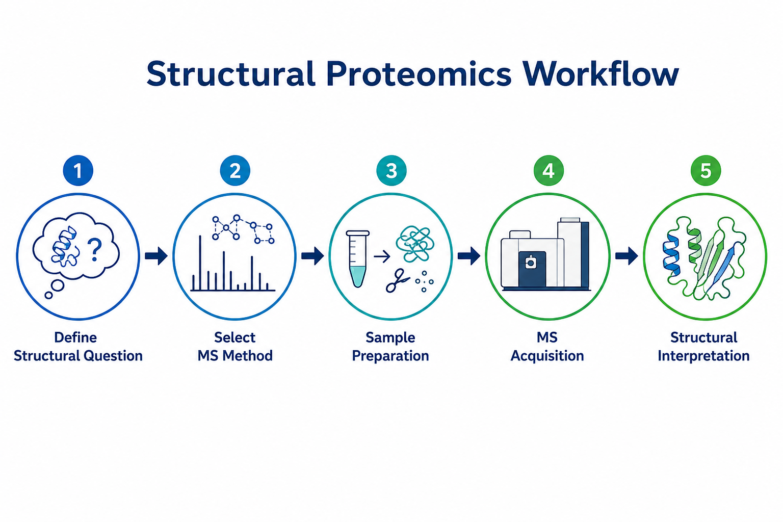 Practical structural proteomics workflow from structural question definition through method selection MS acquisition and interpretation Practical structural proteomics workflow from structural question definition through method selection MS acquisition and interpretation