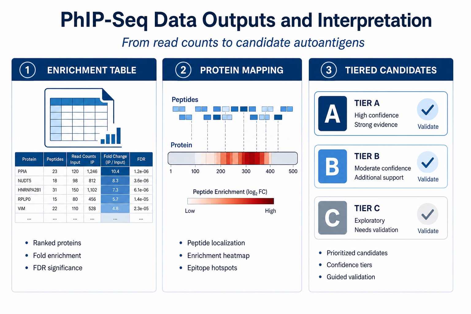 PhIP-Seq data outputs including enrichment tables protein mapping and tiered candidate lists for autoantibody profiling interpretation