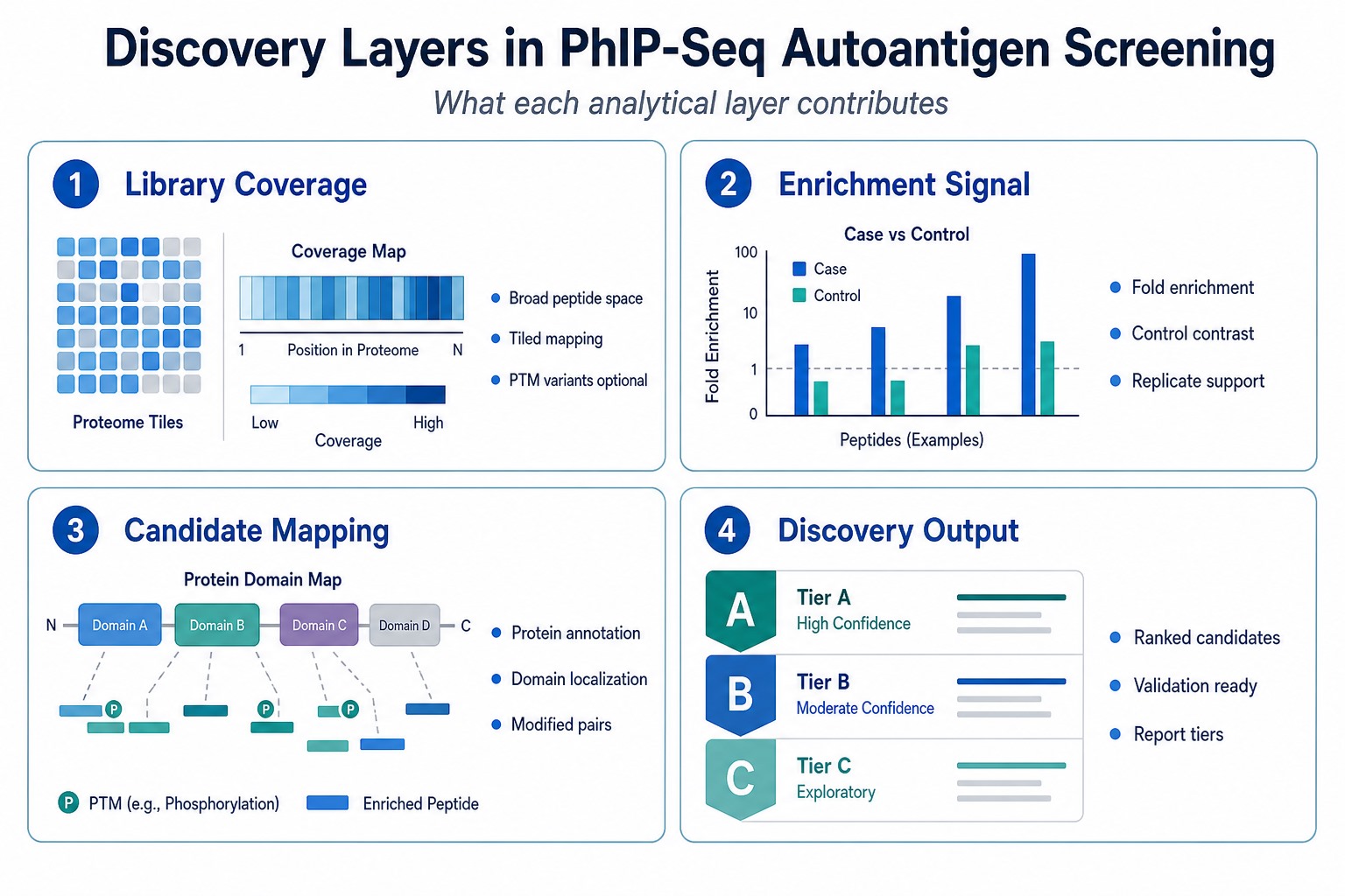 Four discovery layers in PhIP-Seq autoantigen screening covering library coverage enrichment signal candidate mapping and tiered discovery output Four discovery layers in PhIP-Seq autoantigen screening covering library coverage enrichment signal candidate mapping and tiered discovery output