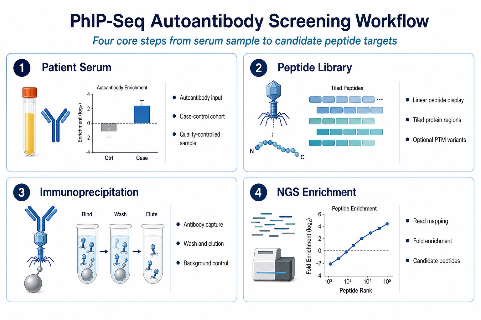 PhIP-Seq autoantibody screening workflow from patient serum through peptide library immunoprecipitation to candidate autoantigen identification PhIP-Seq autoantibody screening workflow from patient serum through peptide library immunoprecipitation to candidate autoantigen identification