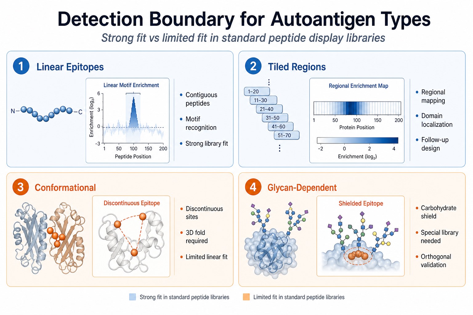 Detection boundary comparing strong fit for linear epitopes and limited fit for native three-dimensional or glycan-dependent autoantigens Detection boundary comparing strong fit for linear epitopes and limited fit for native three-dimensional or glycan-dependent autoantigens