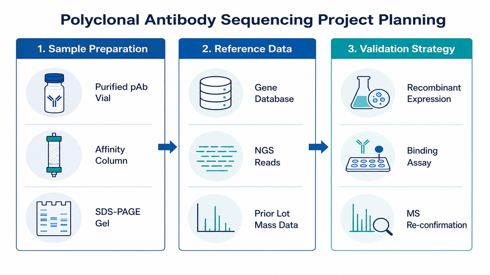 Project planning for polyclonal antibody sequencing showing sample preparation reference data and validation strategy phases Project planning for polyclonal antibody sequencing showing sample preparation reference data and validation strategy phases