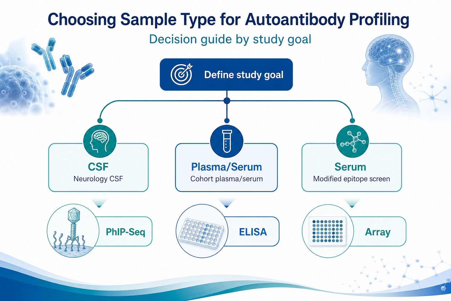 Decision guide for choosing serum plasma or CSF sample type based on study goal and downstream autoantibody profiling method Decision guide for choosing serum plasma or CSF sample type based on study goal and downstream autoantibody profiling method