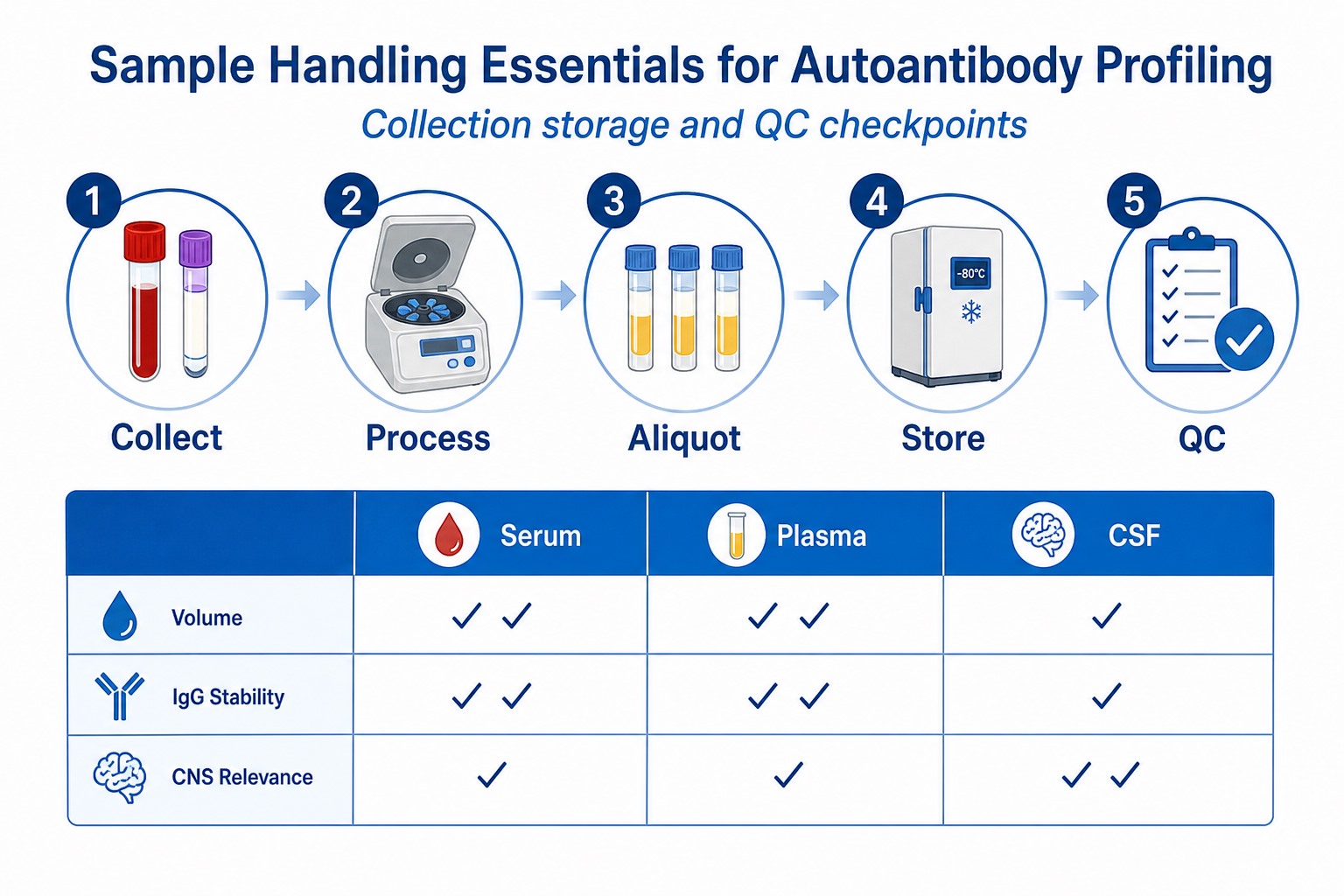 Sample handling workflow for autoantibody profiling with collection processing aliquot storage and QC checkpoints plus serum plasma CSF comparison Sample handling workflow for autoantibody profiling with collection processing aliquot storage and QC checkpoints plus serum plasma CSF comparison