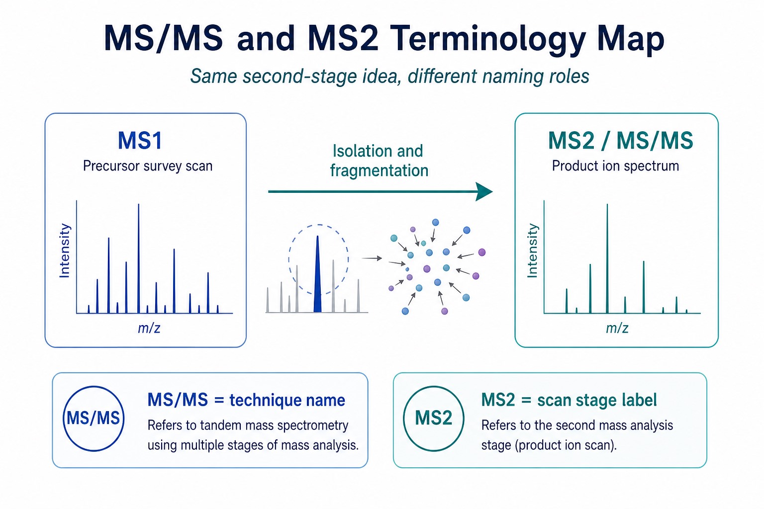 Terminology map showing MS1 precursor scan and MS2 or MS/MS product ion stage after fragmentation Terminology map showing MS1 precursor scan and MS2 or MS/MS product ion stage after fragmentation