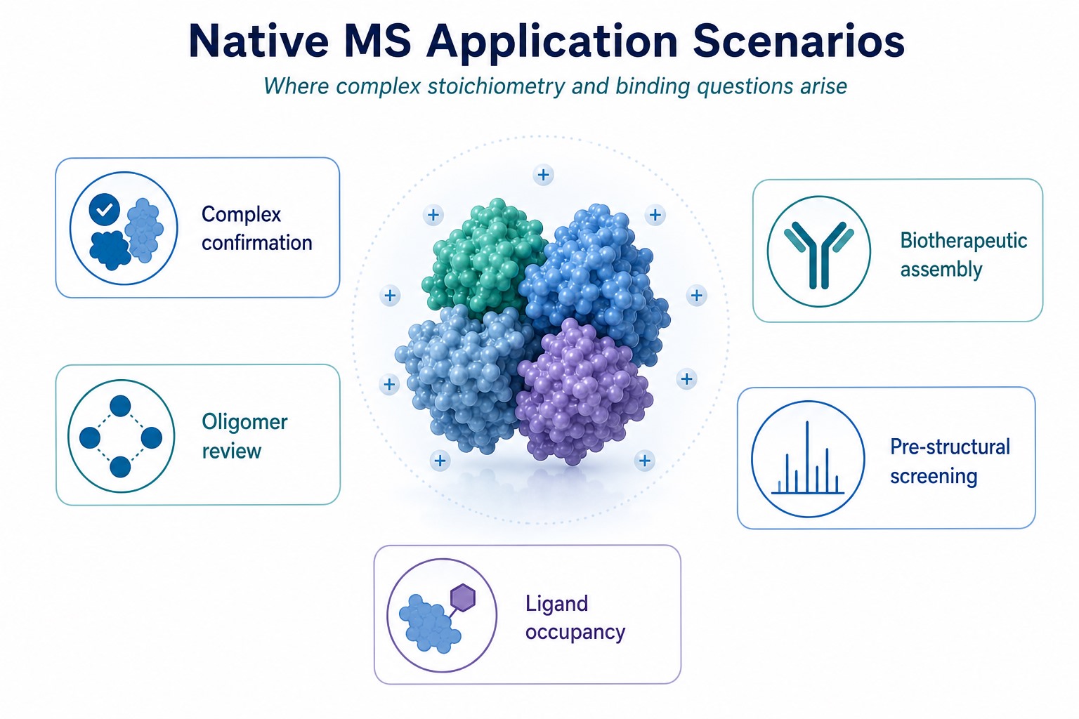 Application scenarios of native MS for complex confirmation oligomer review ligand occupancy and biotherapeutic assembly Application scenarios of native MS for complex confirmation oligomer review ligand occupancy and biotherapeutic assembly