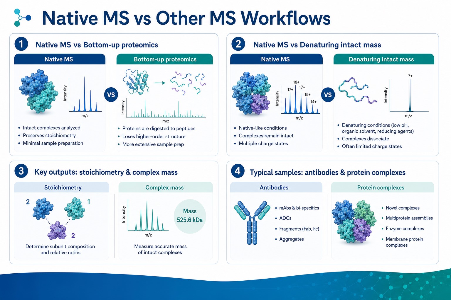 Comparison of native MS with bottom-up proteomics and denaturing intact mass workflows by output sample type and analytical focus Comparison of native MS with bottom-up proteomics and denaturing intact mass workflows by output sample type and analytical focus