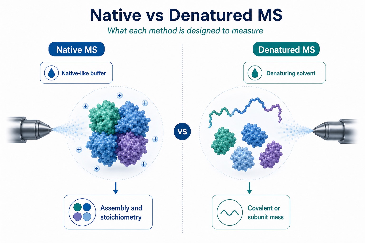Conceptual difference between native MS preserving protein assemblies and denatured MS reporting unfolded subunit or covalent mass Conceptual difference between native MS preserving protein assemblies and denatured MS reporting unfolded subunit or covalent mass