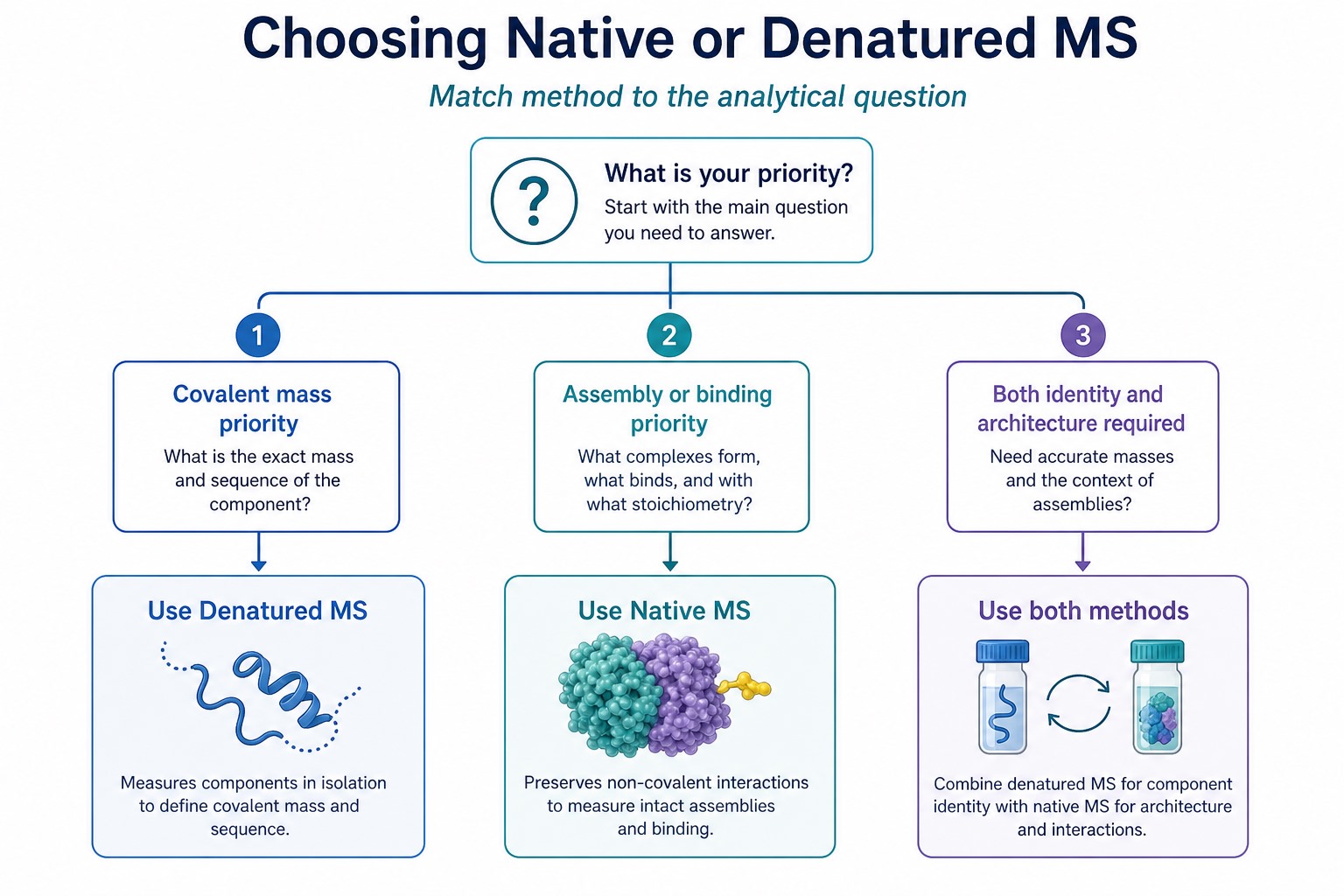 Decision path for choosing native MS denatured MS or both based on assembly binding or covalent mass goals Decision path for choosing native MS denatured MS or both based on assembly binding or covalent mass goals