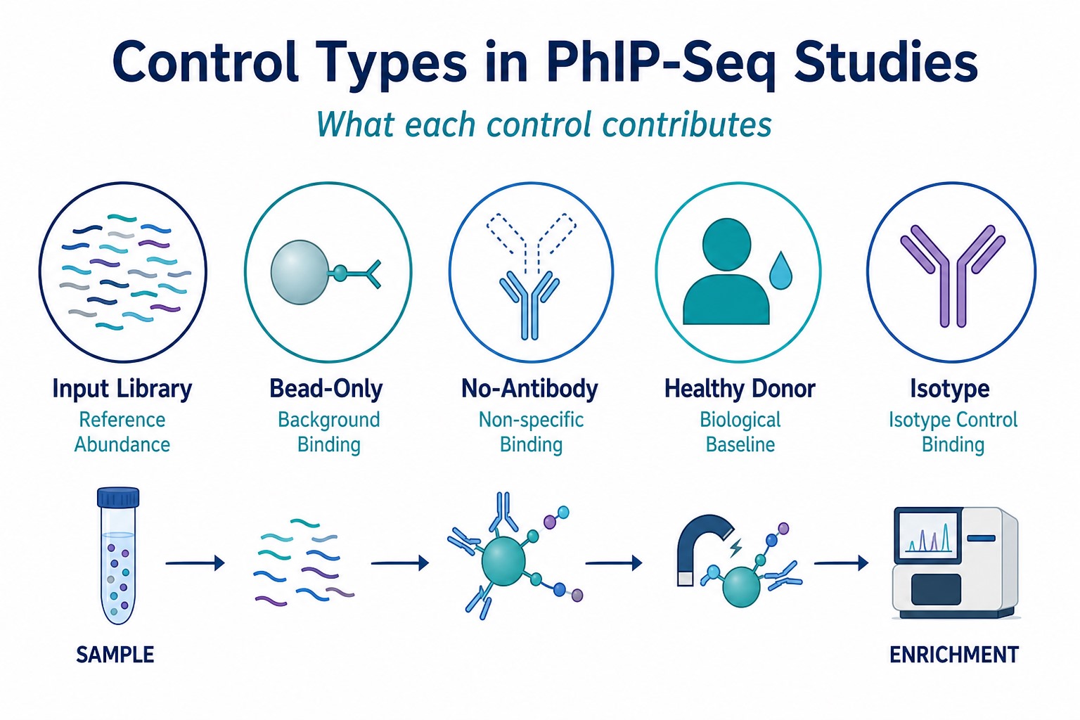 Control types in PhIP-Seq studies including input library bead-only no-antibody healthy donor and isotype controls Control types in PhIP-Seq studies including input library bead-only no-antibody healthy donor and isotype controls