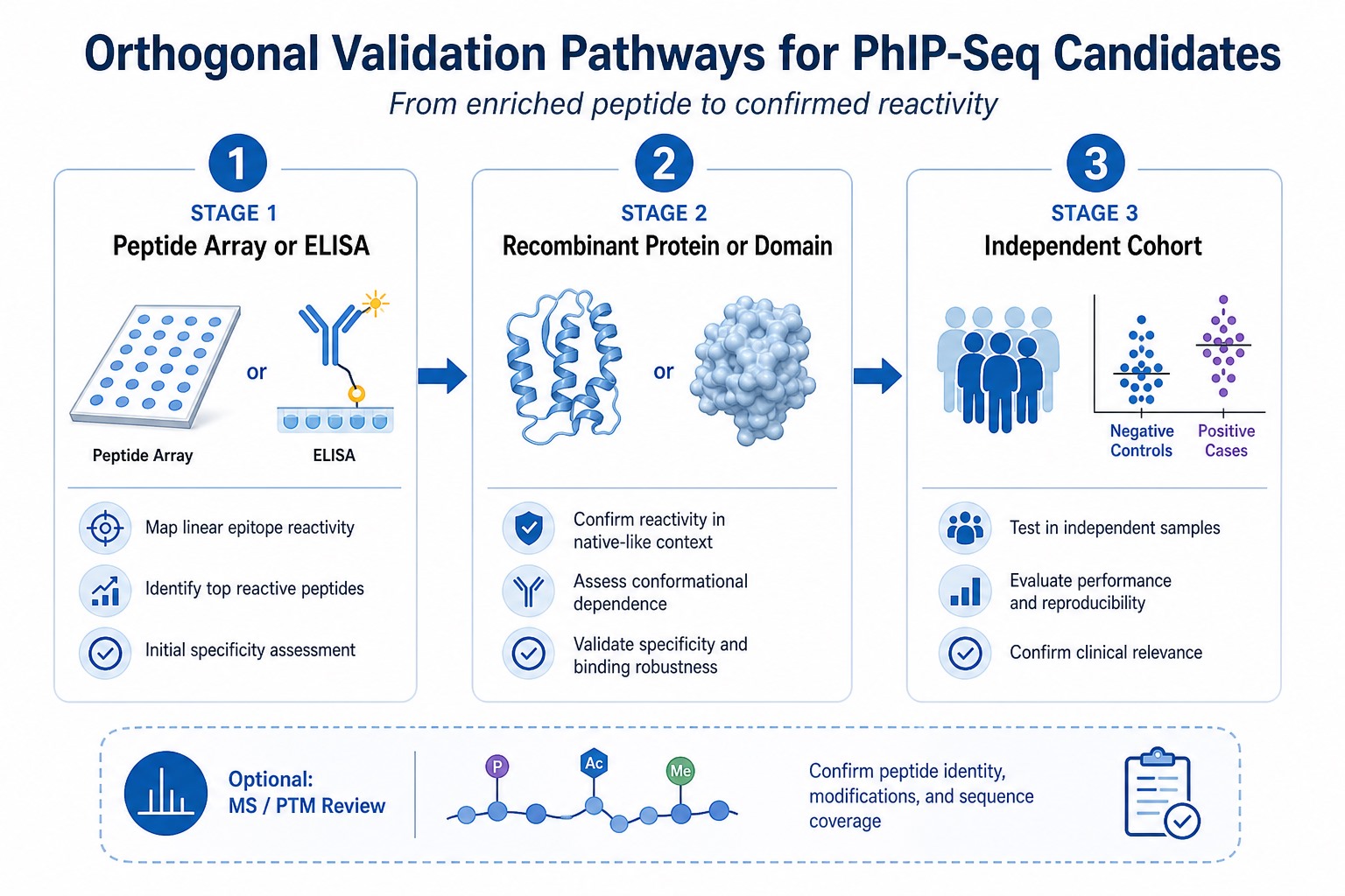 Orthogonal validation pathways for PhIP-Seq candidates through peptide array or ELISA recombinant protein testing and independent cohort confirmation Orthogonal validation pathways for PhIP-Seq candidates through peptide array or ELISA recombinant protein testing and independent cohort confirmation