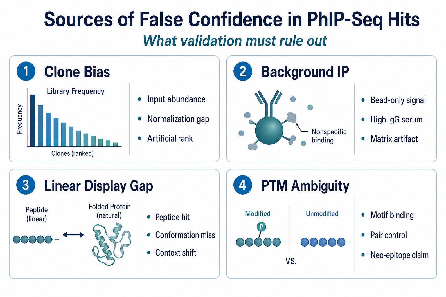 Sources of false confidence in PhIP-Seq hits including clone bias background immunoprecipitation linear display gap and PTM ambiguity Sources of false confidence in PhIP-Seq hits including clone bias background immunoprecipitation linear display gap and PTM ambiguity