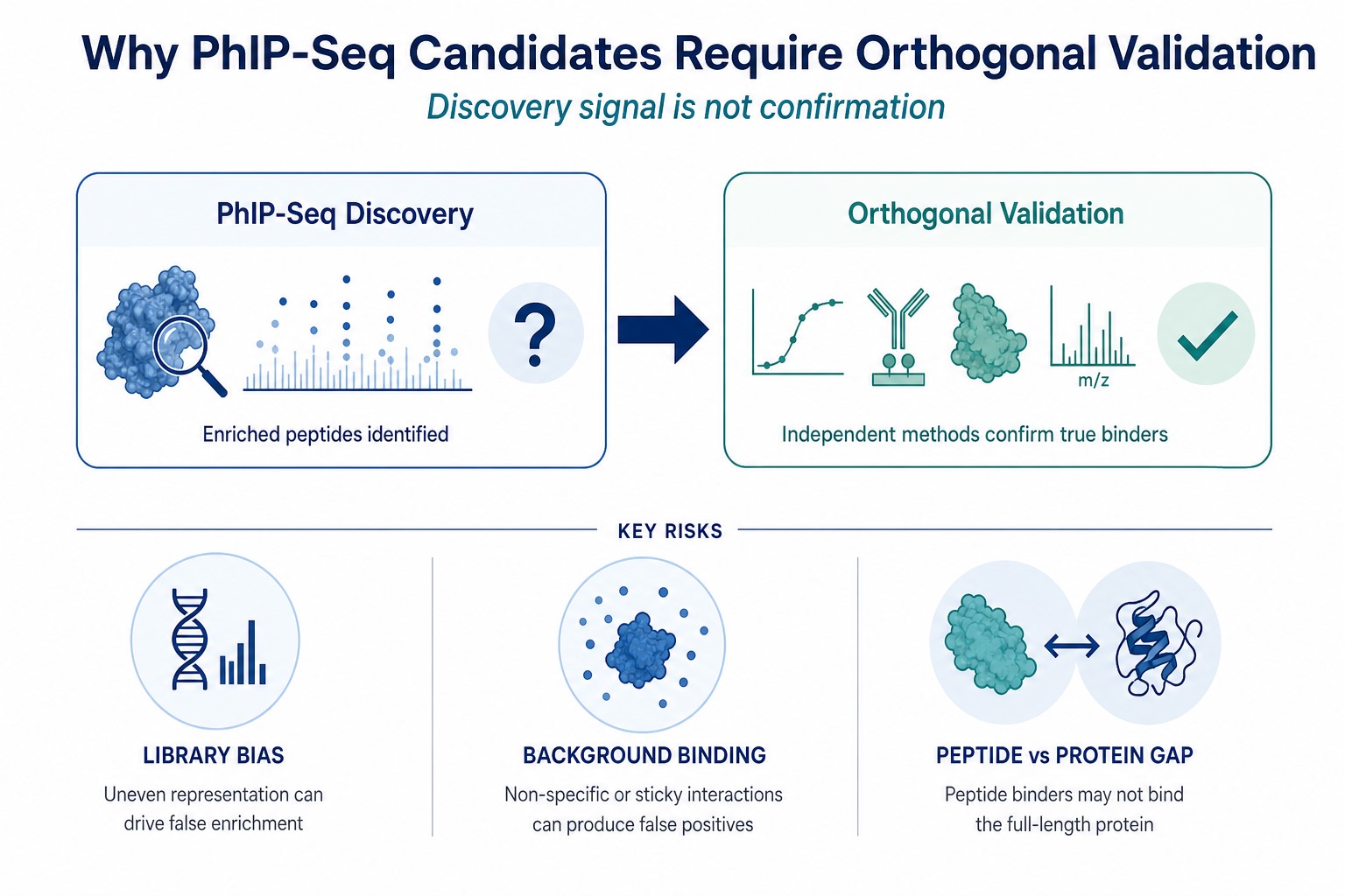 Why PhIP-Seq candidates require orthogonal validation because discovery enrichment does not equal confirmed autoantibody reactivity Why PhIP-Seq candidates require orthogonal validation because discovery enrichment does not equal confirmed autoantibody reactivity
