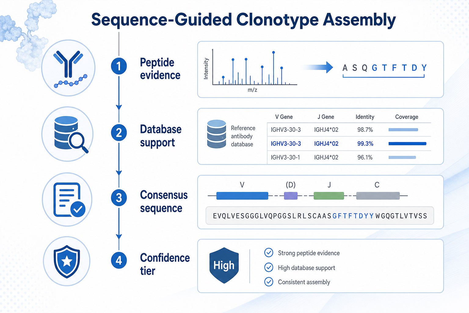 Sequence-guided clonotype assembly flow from peptide evidence through database support to consensus sequence and confidence tier assignment Sequence-guided clonotype assembly flow from peptide evidence through database support to consensus sequence and confidence tier assignment