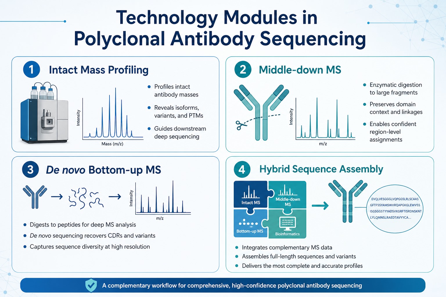 Technology modules in polyclonal antibody sequencing including intact mass middle-down MS de novo bottom-up MS and hybrid assembly