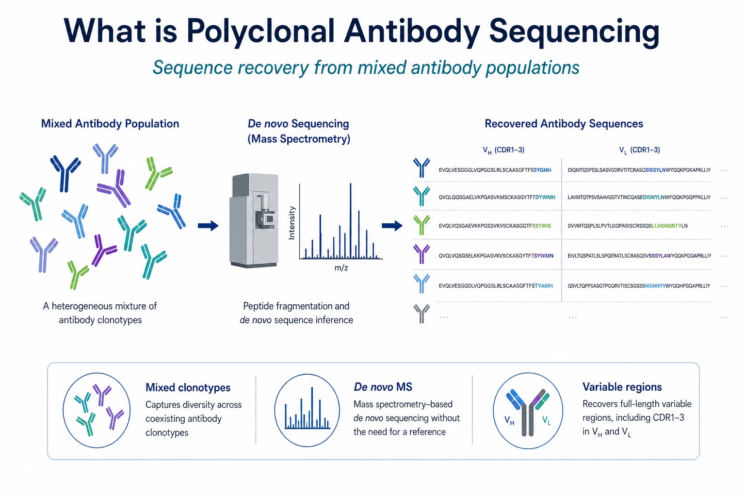What polyclonal antibody sequencing is sequence recovery from mixed antibody populations using mass spectrometry and clonotype assembly What polyclonal antibody sequencing is sequence recovery from mixed antibody populations using mass spectrometry and clonotype assembly