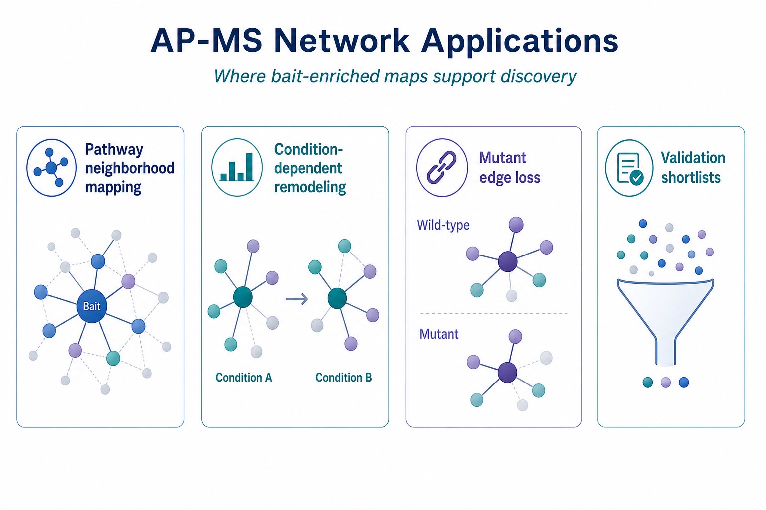 AP-MS network applications including pathway mapping condition remodeling mutant edge loss and validation shortlists