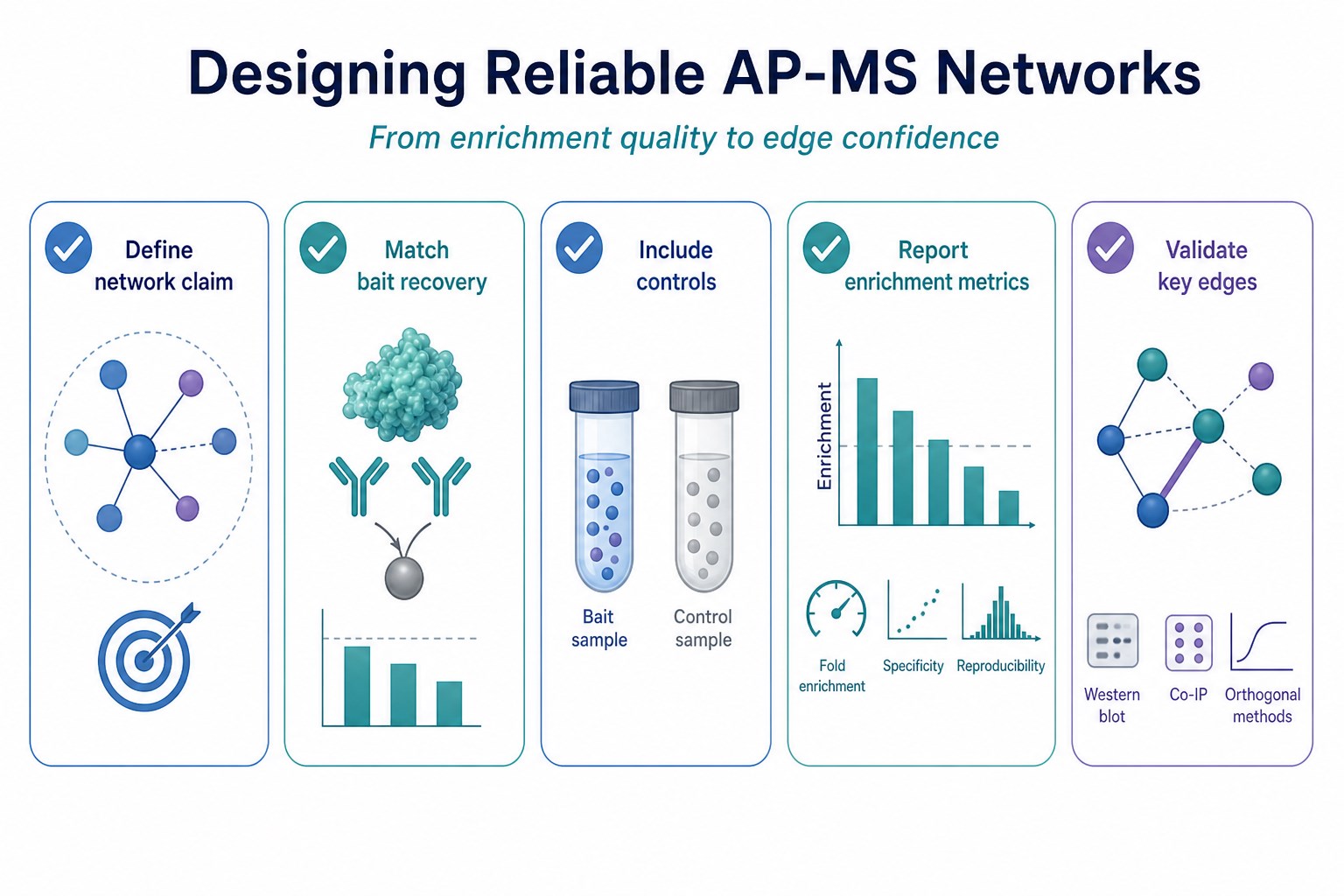 Design checklist for converting AP-MS enrichments into reliable interaction network claims