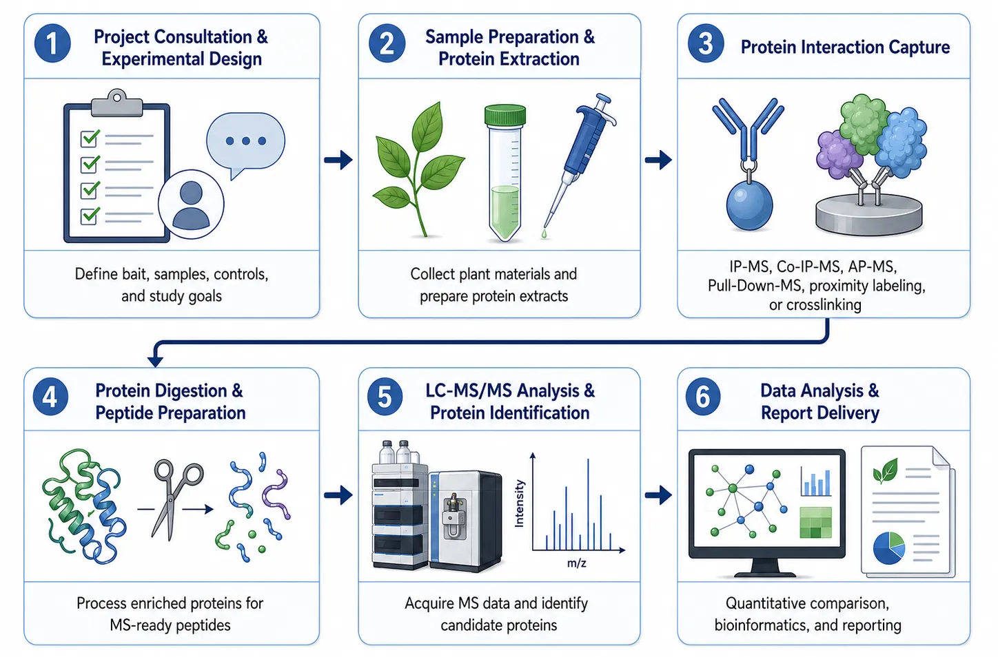 2081608890697998336-plant-protein-interaction-analysis-service1.png