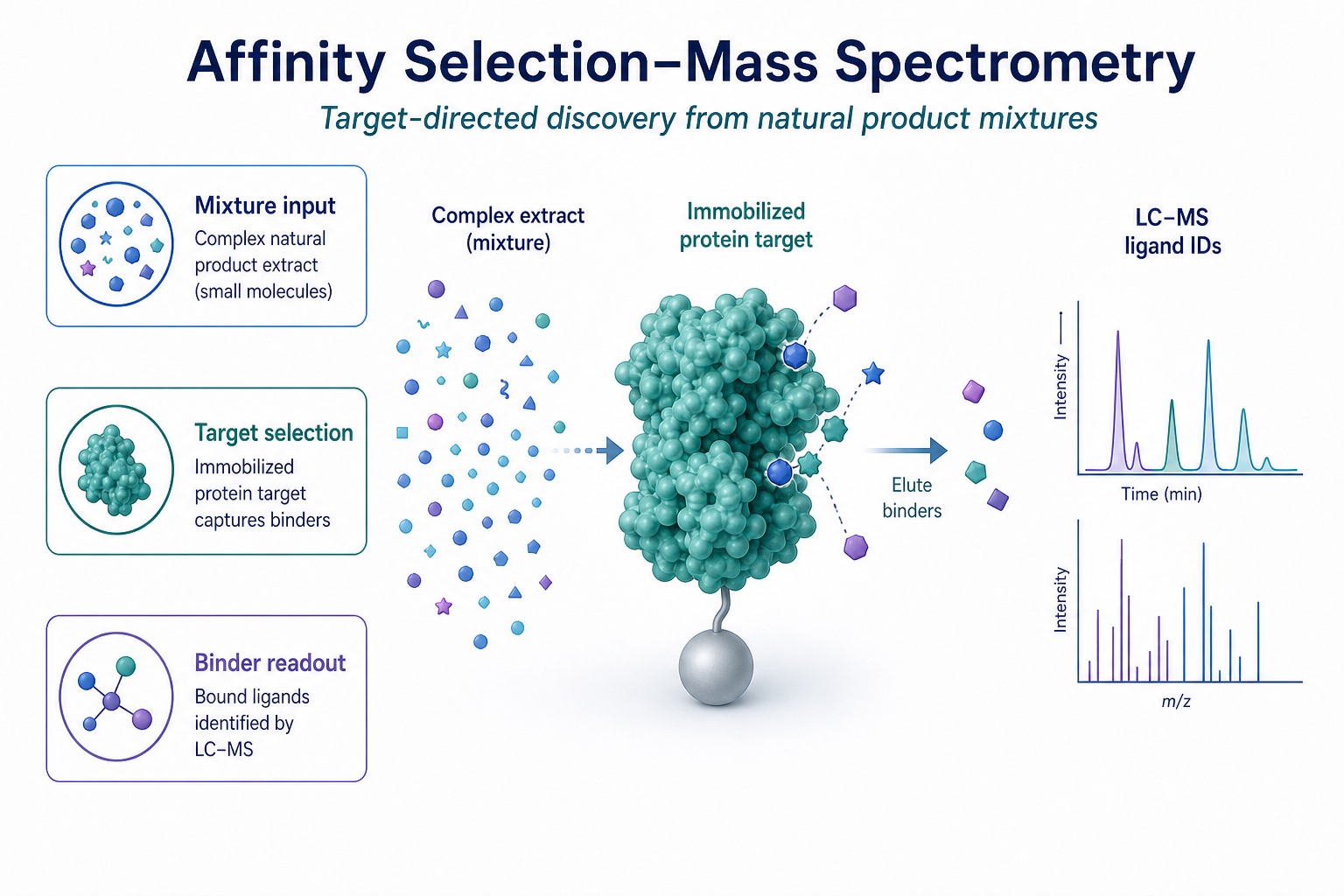 AS-MS concept showing protein target selecting binders from a natural product mixture for MS identification