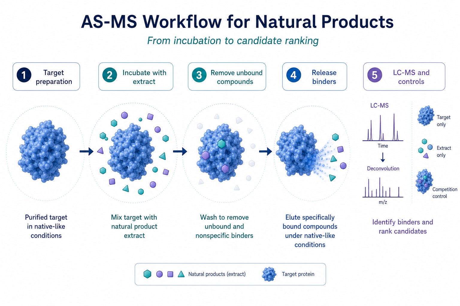 AS-MS workflow from target incubation and binder selection to ligand release and LC-MS candidate reporting