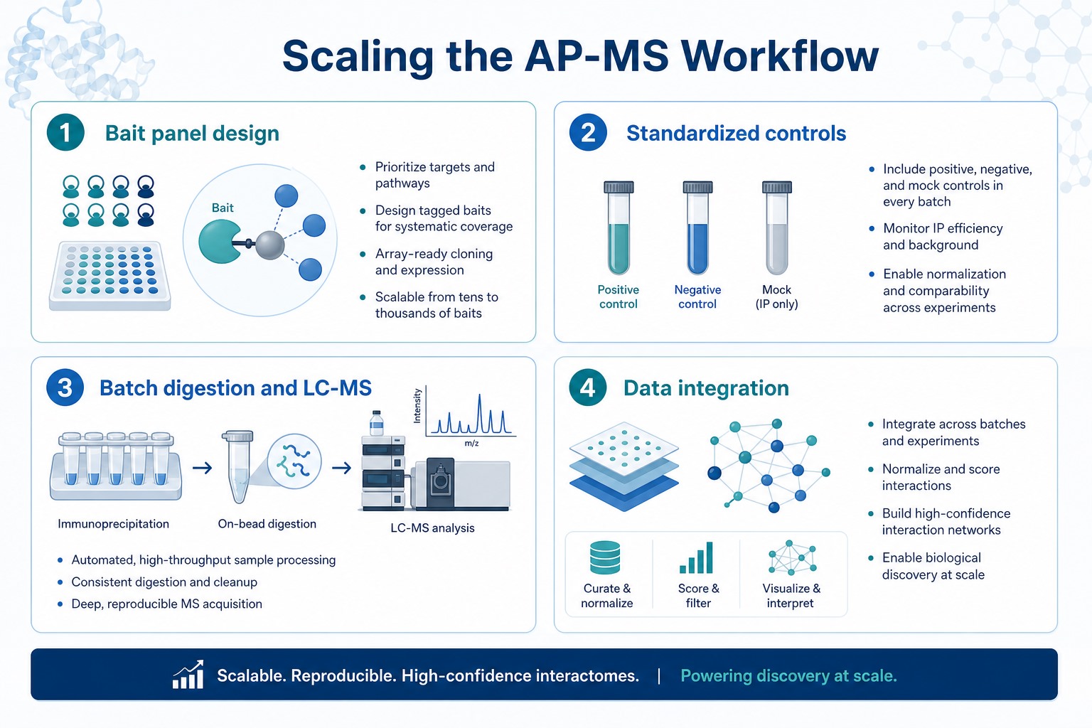 Scaling the AP-MS workflow through bait panel design standardized controls batch digestion LC-MS/MS and integrated data review