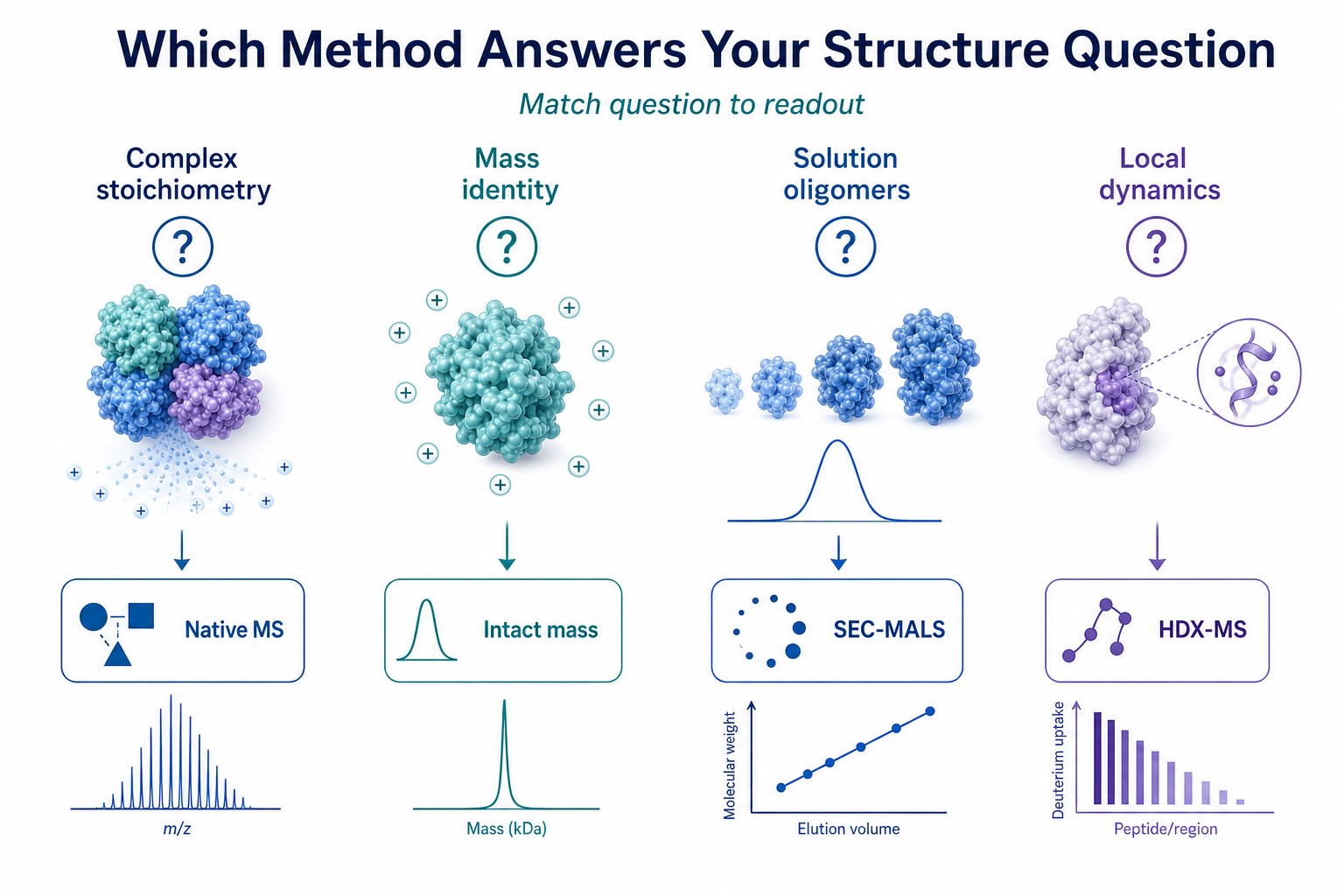 Decision guide matching protein structure questions to non-denaturing MS intact mass SEC-MALS or HDX-MS