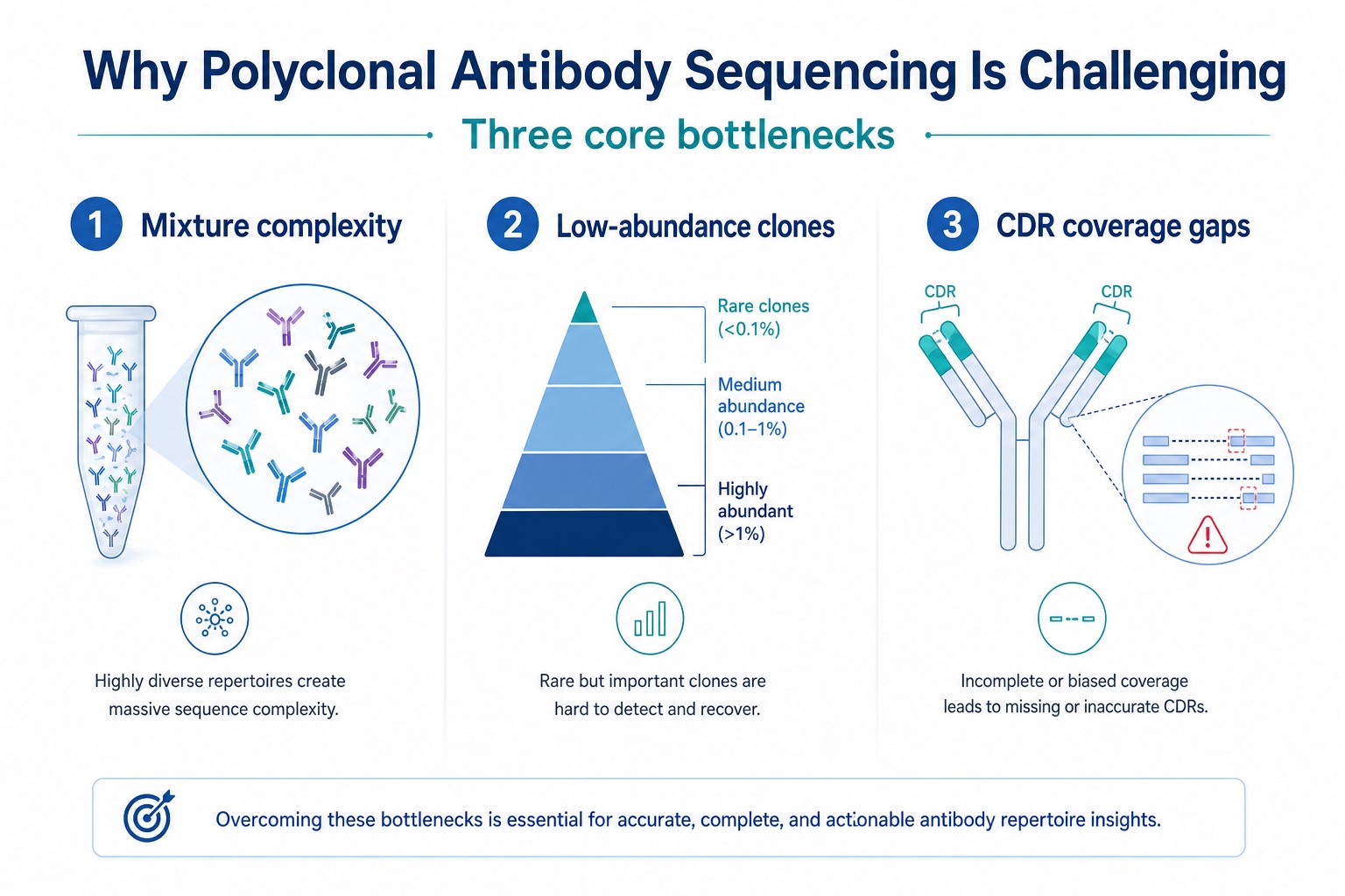 Why polyclonal antibody sequencing is challenging due to mixture complexity low-abundance clones and CDR coverage gaps Why polyclonal antibody sequencing is challenging due to mixture complexity low-abundance clones and CDR coverage gaps