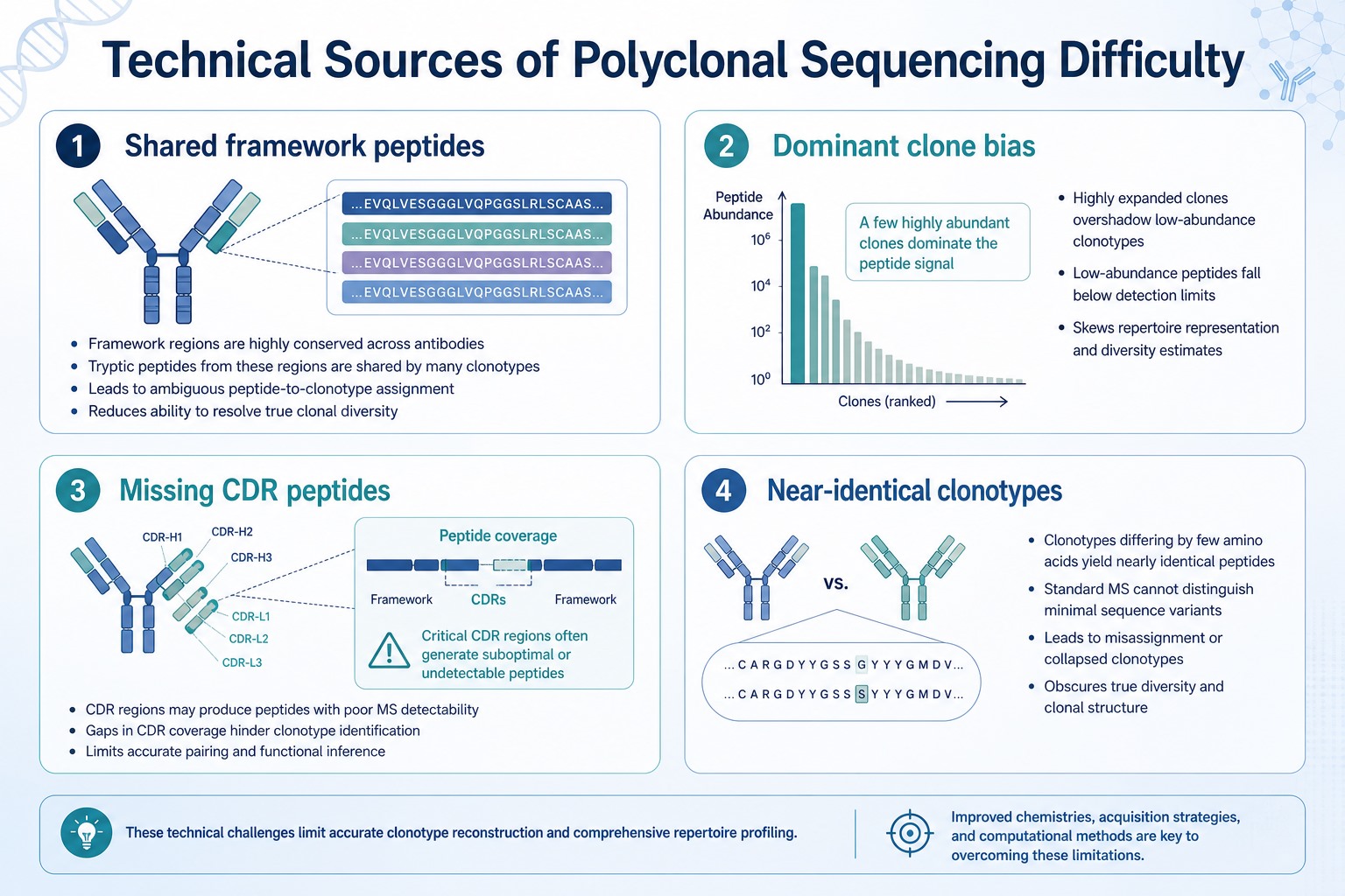 Technical sources of polyclonal sequencing difficulty including shared framework peptides dominant clone bias missing CDR peptides and near-identical clonotypes Technical sources of polyclonal sequencing difficulty including shared framework peptides dominant clone bias missing CDR peptides and near-identical clonotypes