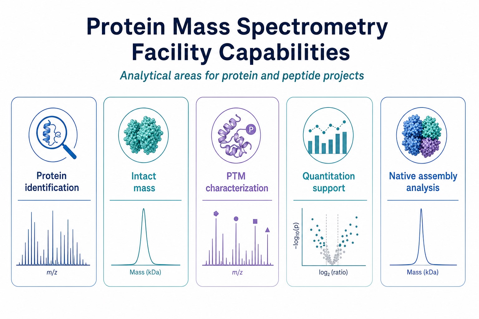 Core capability areas of a protein mass spectrometry facility including identification intact mass PTM and native assembly analysis Core capability areas of a protein mass spectrometry facility including identification intact mass PTM and native assembly analysis