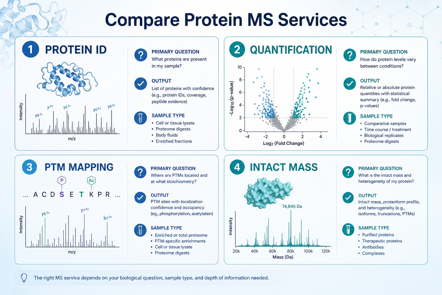 Four protein mass spectrometry service types compared by primary question output and sample suitability Four protein mass spectrometry service types compared by primary question output and sample suitability