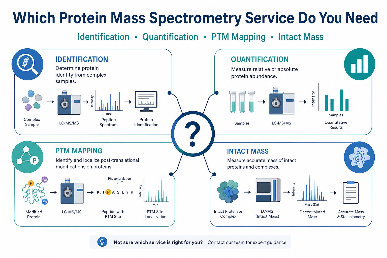 Comparison of protein identification quantification PTM mapping and intact mass mass spectrometry services by analytical question and output type Comparison of protein identification quantification PTM mapping and intact mass mass spectrometry services by analytical question and output type