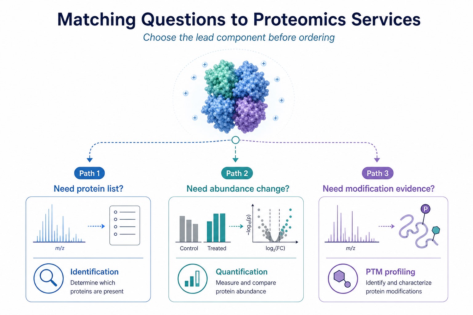 Decision guide matching proteomics questions to identification quantification or PTM profiling services Decision guide matching proteomics questions to identification quantification or PTM profiling services