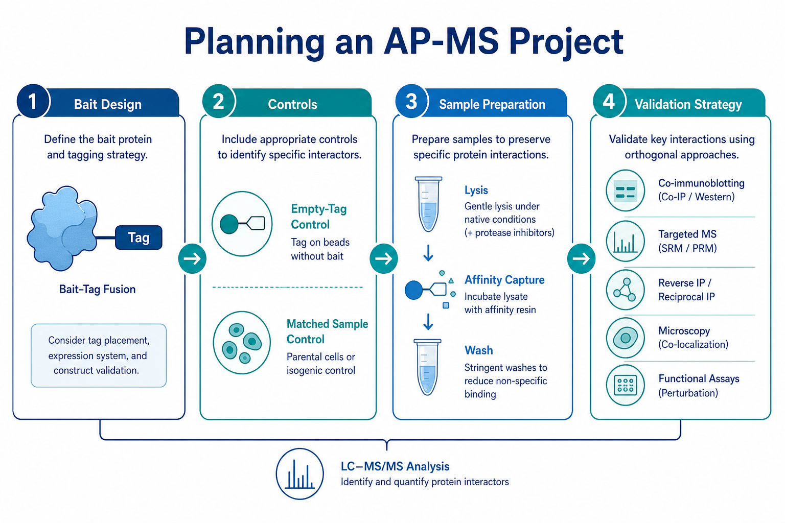 Four planning pillars for an affinity purification mass spectrometry project bait design controls sample preparation and validation