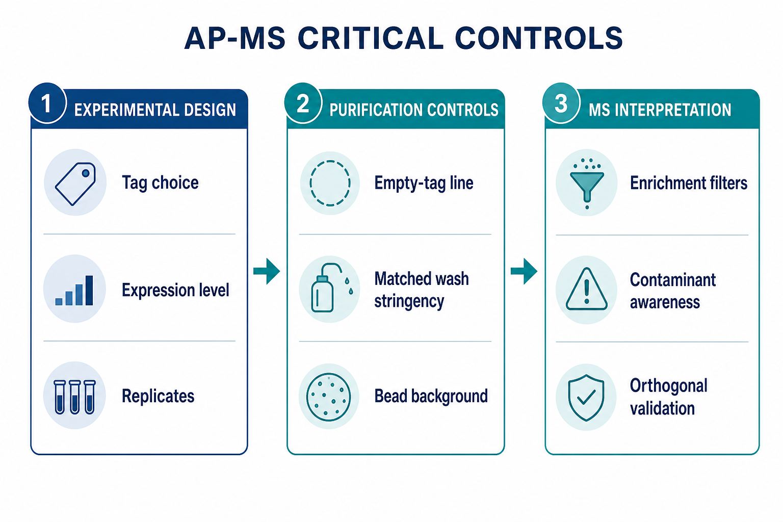 AP-MS workflow controls checklist covering experimental design purification controls and MS interpretation