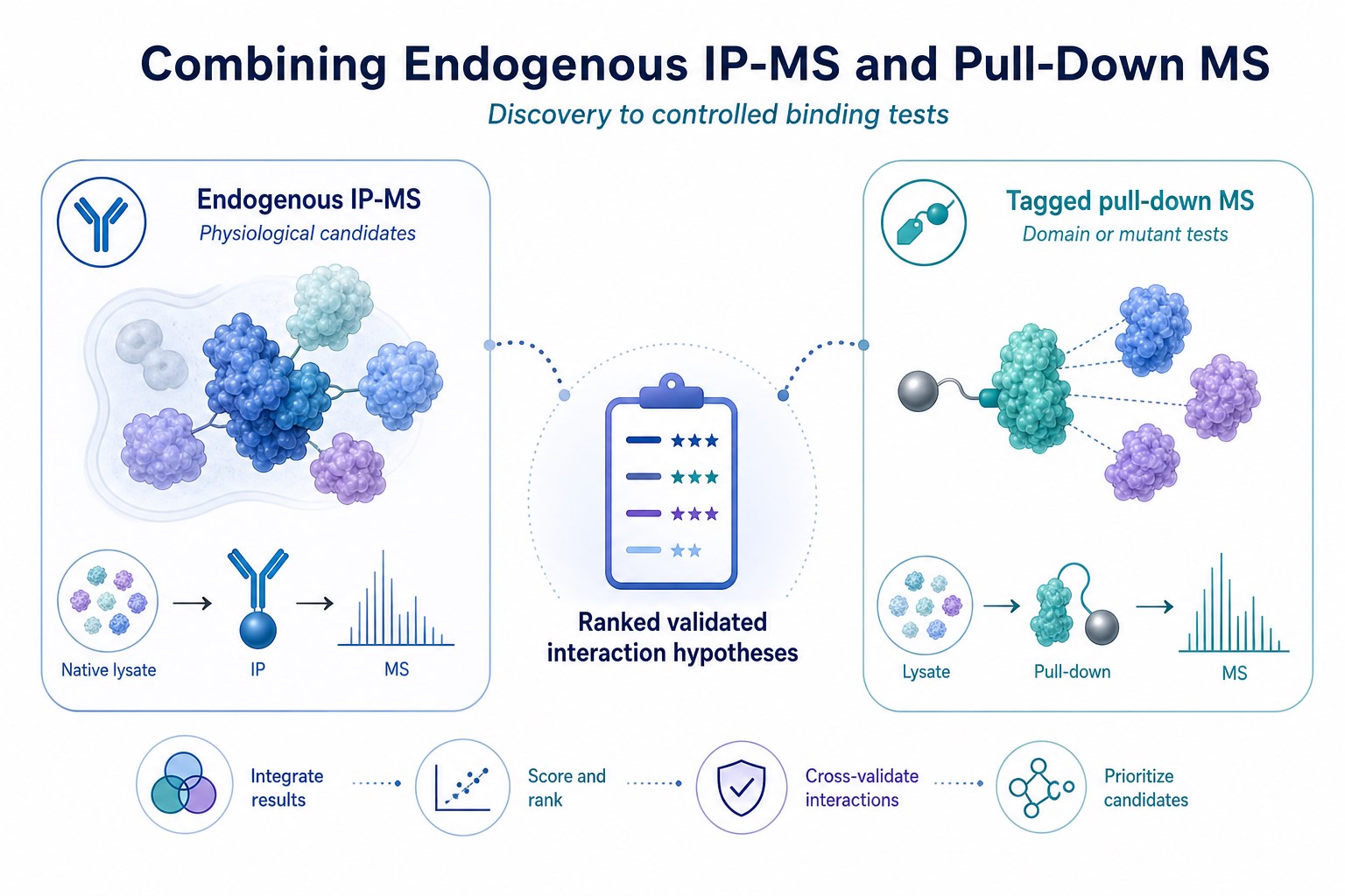 Complementary use of native-bait enrichment and recombinant pull-down in protein interaction workflows