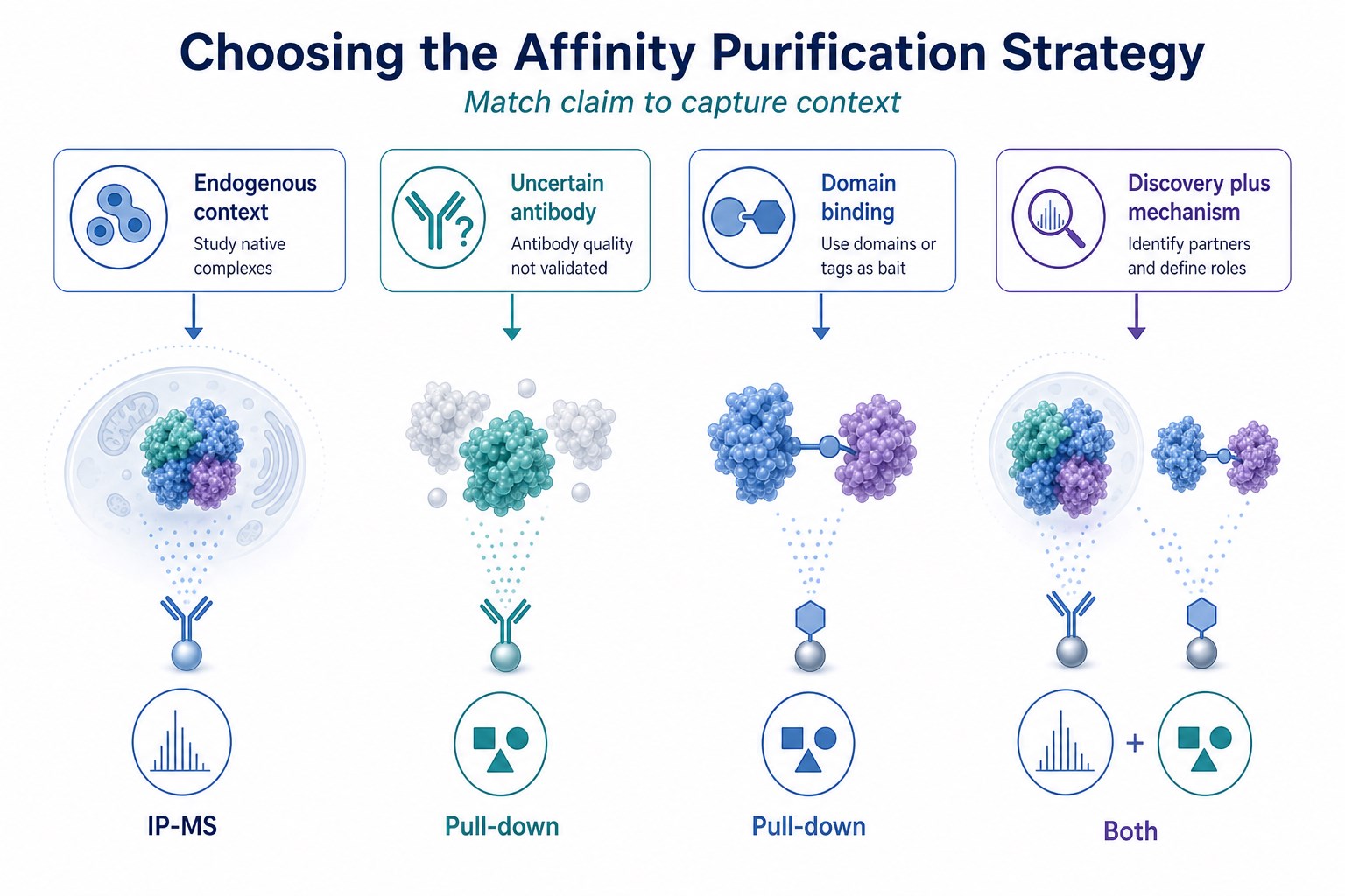 Decision guide for choosing native-bait antibody enrichment or recombinant pull-down by interaction study goal
