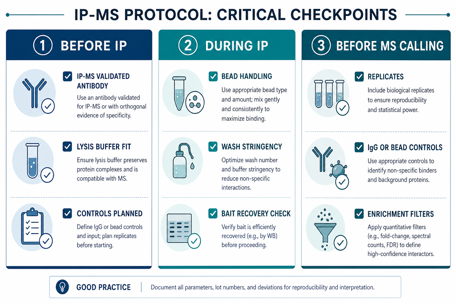 IP-MS protocol checkpoints covering antibody qualification wash controls and enrichment filtering before candidate calling