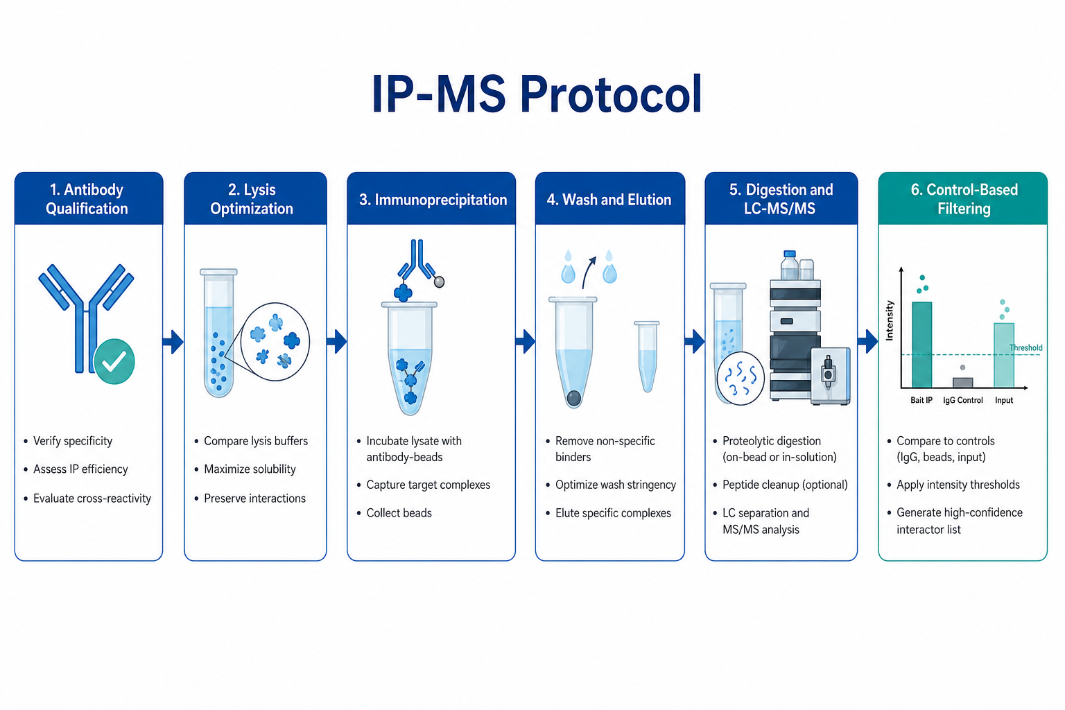IP-MS protocol workflow from antibody qualification through immunoprecipitation wash elution digestion and control-based filtering