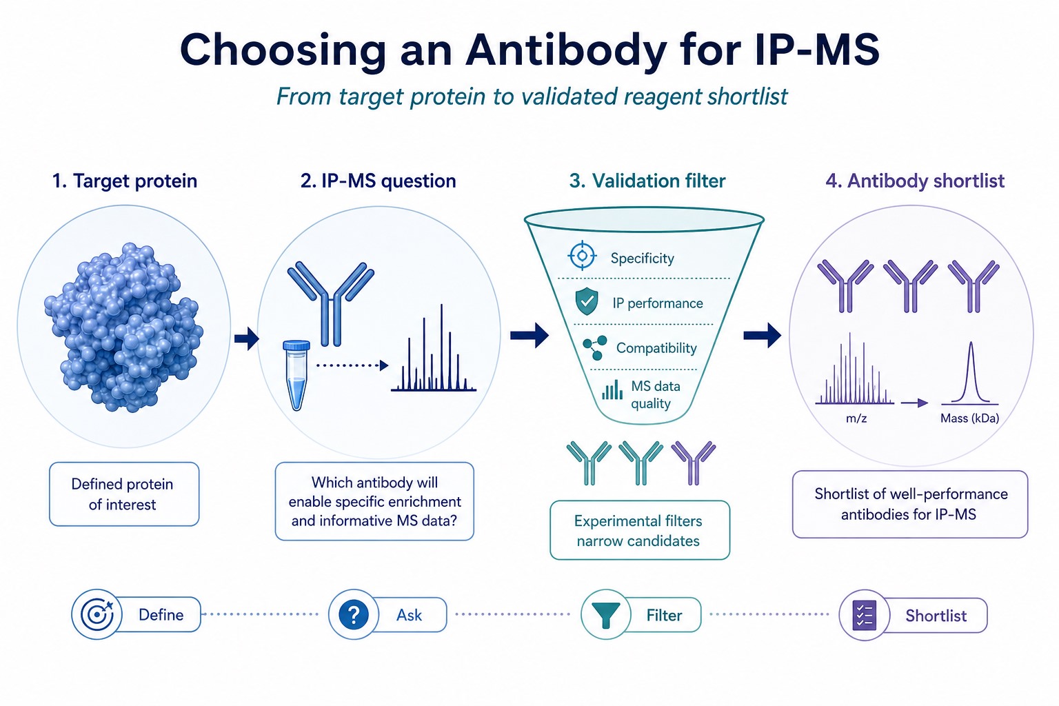 Selection path for choosing an IP-MS antibody from target protein to IP-MS validation evidence and shortlist