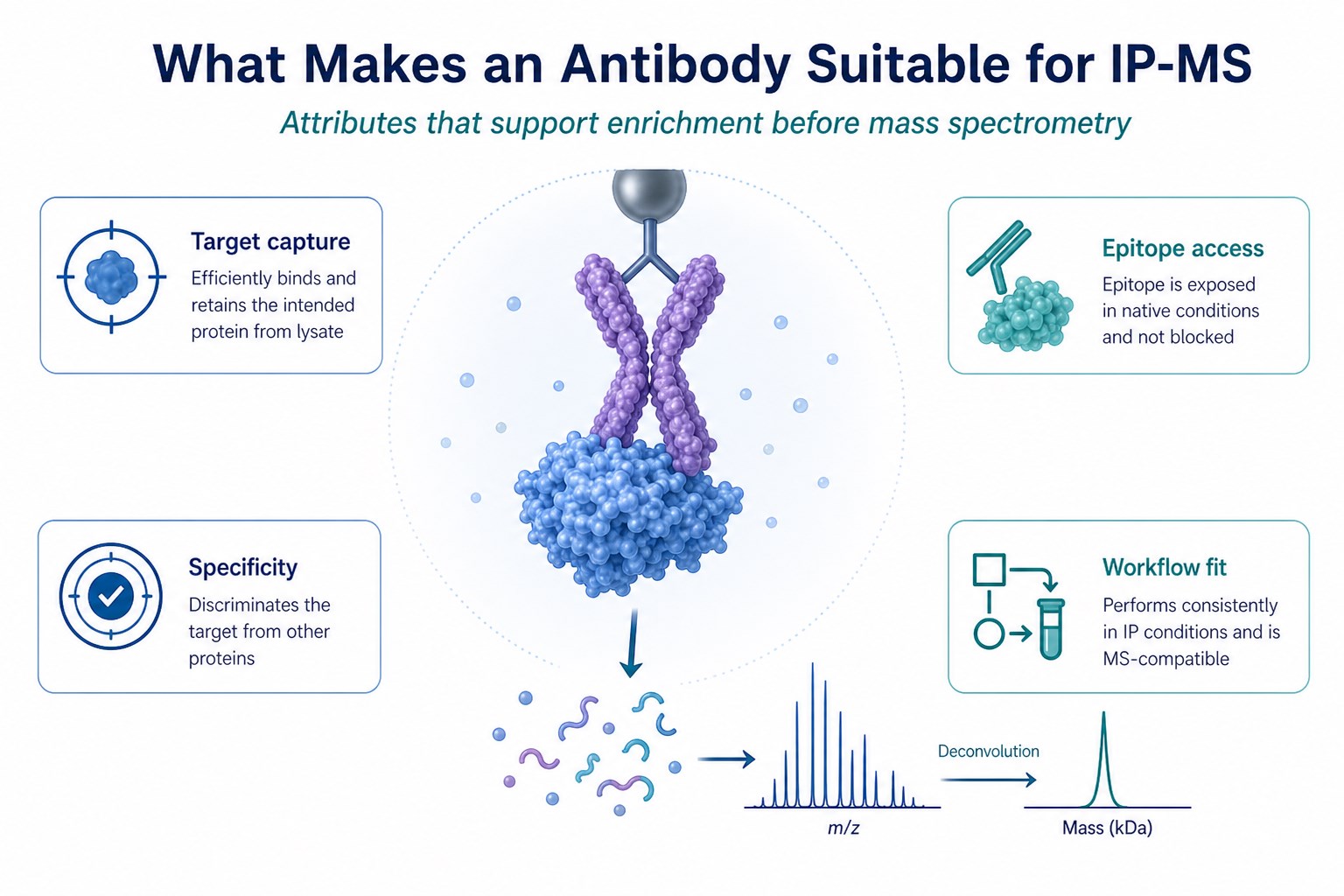 Suitability attributes of an IP-MS antibody including target capture specificity and MS-compatible enrichment